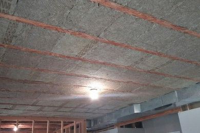 Inspiration for a basement remodel in Grand Rapids