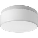 Progress Lighting - Maier LED Flush Mount - LED flush mount with etched white opal acrylic diffuser with a clean modern look. 3000K color temperature and 90+ CRI. Acrylic bowl is attached with a twist and lock action for ease of installation. This fixture can be mounted on ceiling or wall. ENERGY STAR rated. Uses (1) 20.5-watt LED bulb (included).