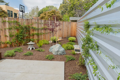 Inspiration for a modern landscaping in San Francisco.