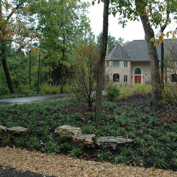 Naturalistic Contemporary