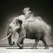 Leslie Scantlin's photo