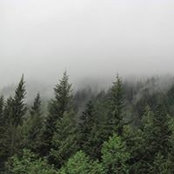 Jo Dee Freck's photo