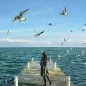 Muslima Omar's photo