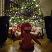 Laetitia Ulrich's photo