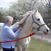 Frances Waltman's photo