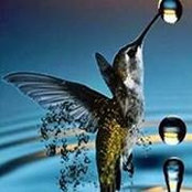 Wendy Trail's photo