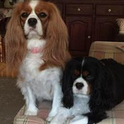 Dee Campbell's photo