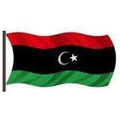Mohamed Shawash's photo