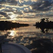Joe Gomez's photo