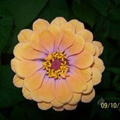 Kimberly Norman's photo