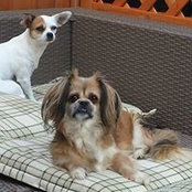 Foto di Uschi Becker