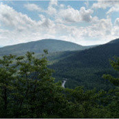 Suzanne Plummer's photo