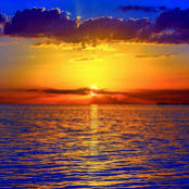 Carl Darrigo's photo