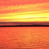 Cliffton Young's photo