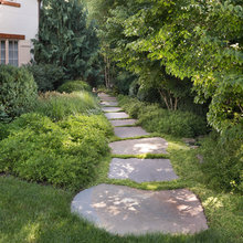 Landscape Ideas
