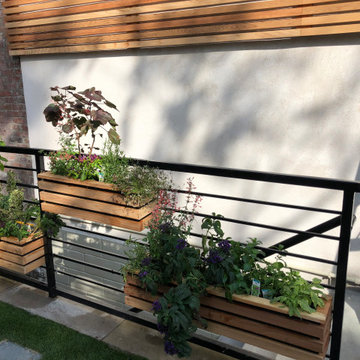 Grow your veggies