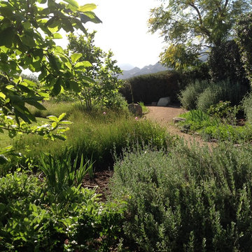 Ojai home