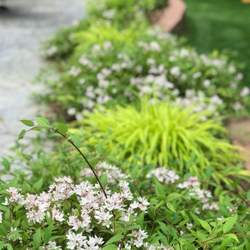 Before and After - curb appeal, boxwoods