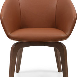 Oval Dining Chair - Dining Chairs