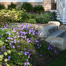 side yard