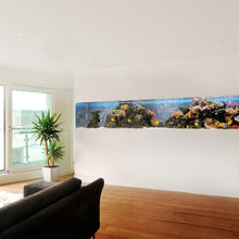 Aquarium Ideas