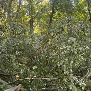 Tree Removal, Land Clearing & Site Preparation Project