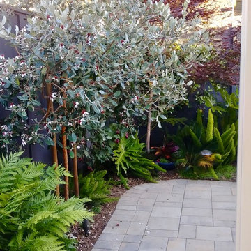 Willowhaven Cozy Oasis