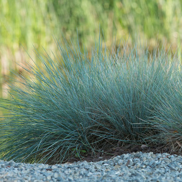 Rural Gardens Jersey Shore