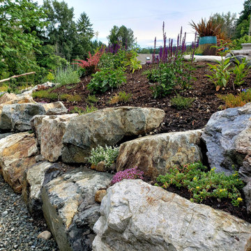 Frontard Food Forest