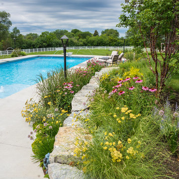 Backyard Pool, Patio, Perennials, and FUN in Barrington, IL