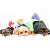 Tina Phan's photo