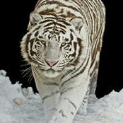 Keith Kinkade's photo