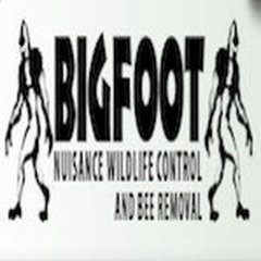 Bigfoot Wildlife Control