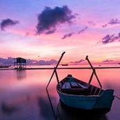Teri Cox's photo