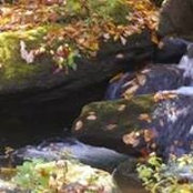 Jacquie Thurston's photo