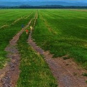 Anne-marie Kerouac's photo