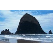 Julie Holman's photo