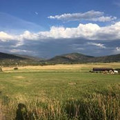 Wendy Mortimer's photo