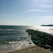 Adrienne Barry's photo