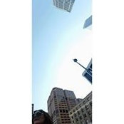 Peggy Pattavina's photo
