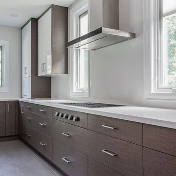 Alta Vista Project
