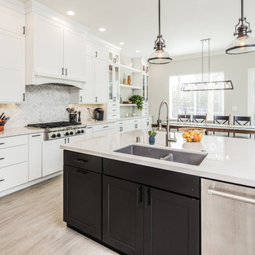 Vista Modern Farmhouse Full Design and Home Remodel