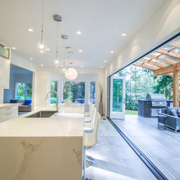 2017 Kitchen – over $100, 000 Winner - My House Design/Build Team Ltd.