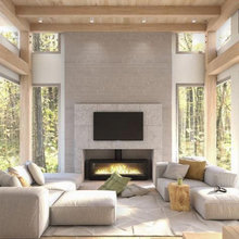 Living Room Idea Photos