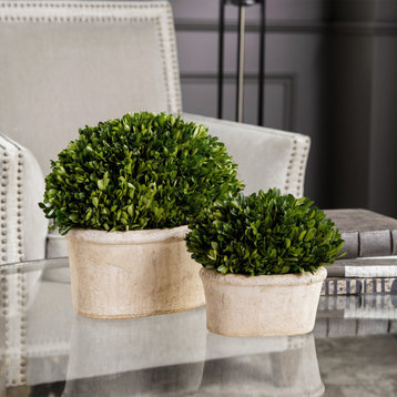 Oval Dome Boxwood Planters, Set of 2