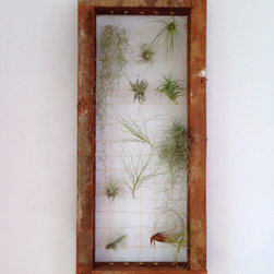 Framed Green Life - Sculptures
