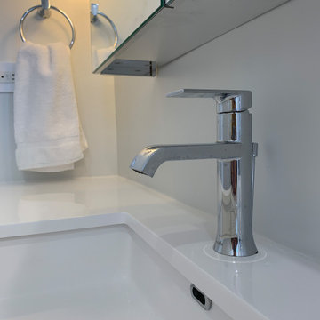 Modernized Lakeview Bathroom