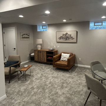 Basement Living Spaces