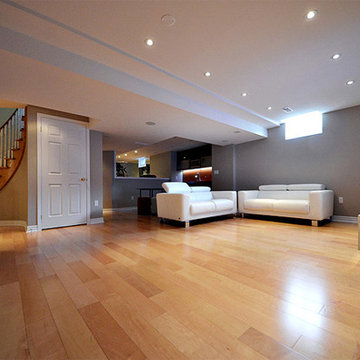 Open Concept Basement Ideas