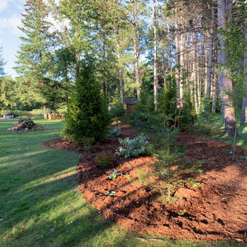 Instant Forest in Wisconsin